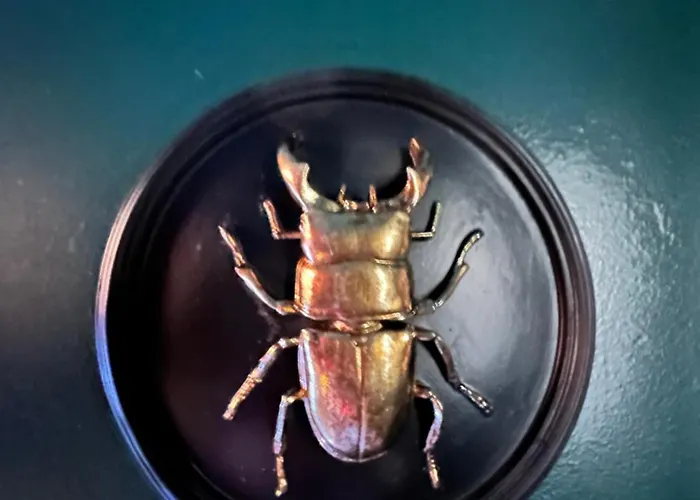 Mieuxqualhotel Jacuzzi Privatif Velvet Desire 4* 보르도